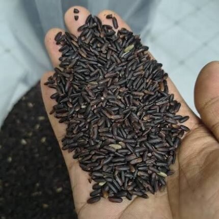 ব্ল্যাক রাইস চাউল | ১ কেজি | Premium Black Rice | 1 KG | MNK SHOP